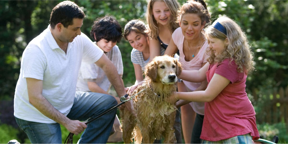 Family giving dog a bath outside, showing shared holistic pet care