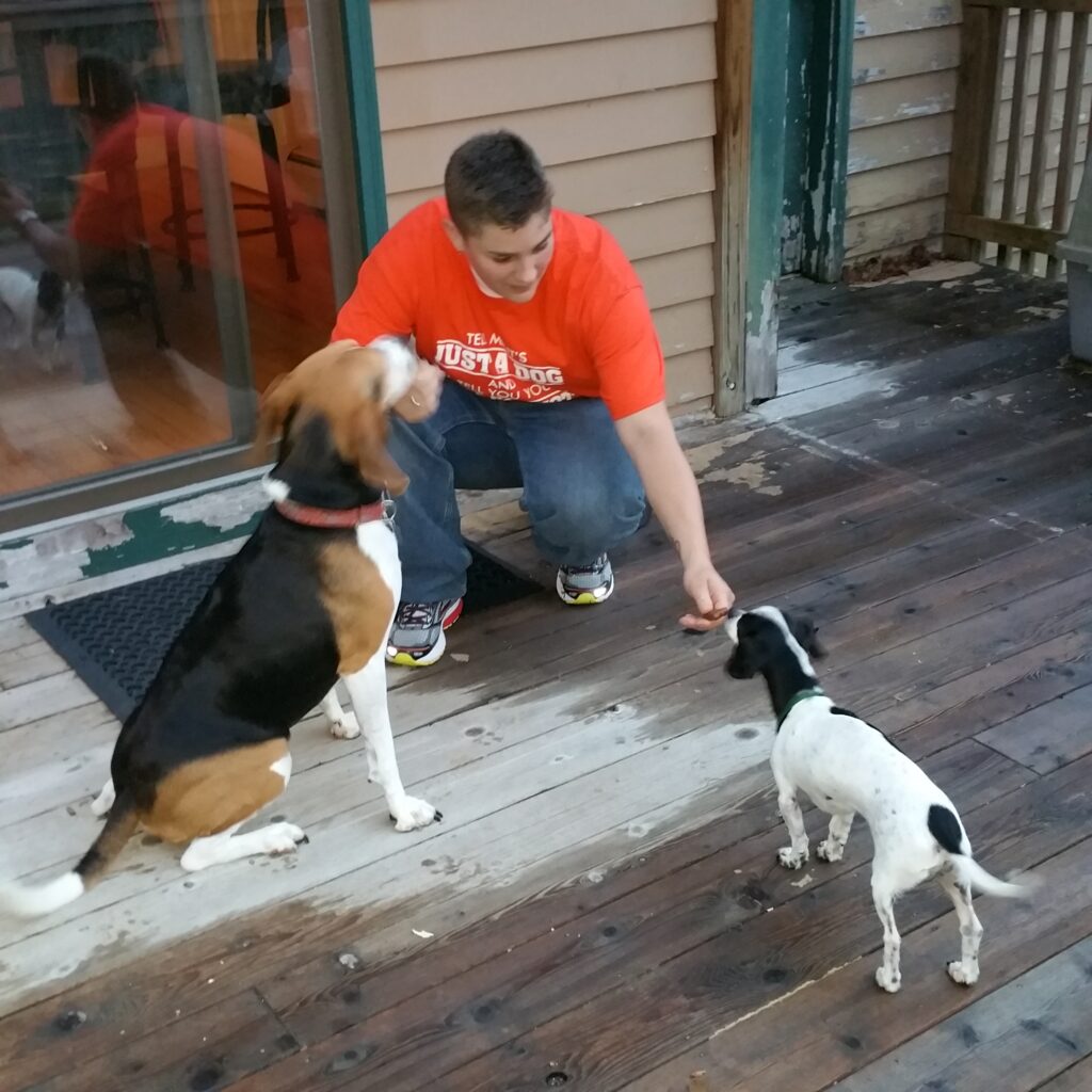 Trainer working with two dogs, illustrating how to avoid common training mistakes through trust and clear communication