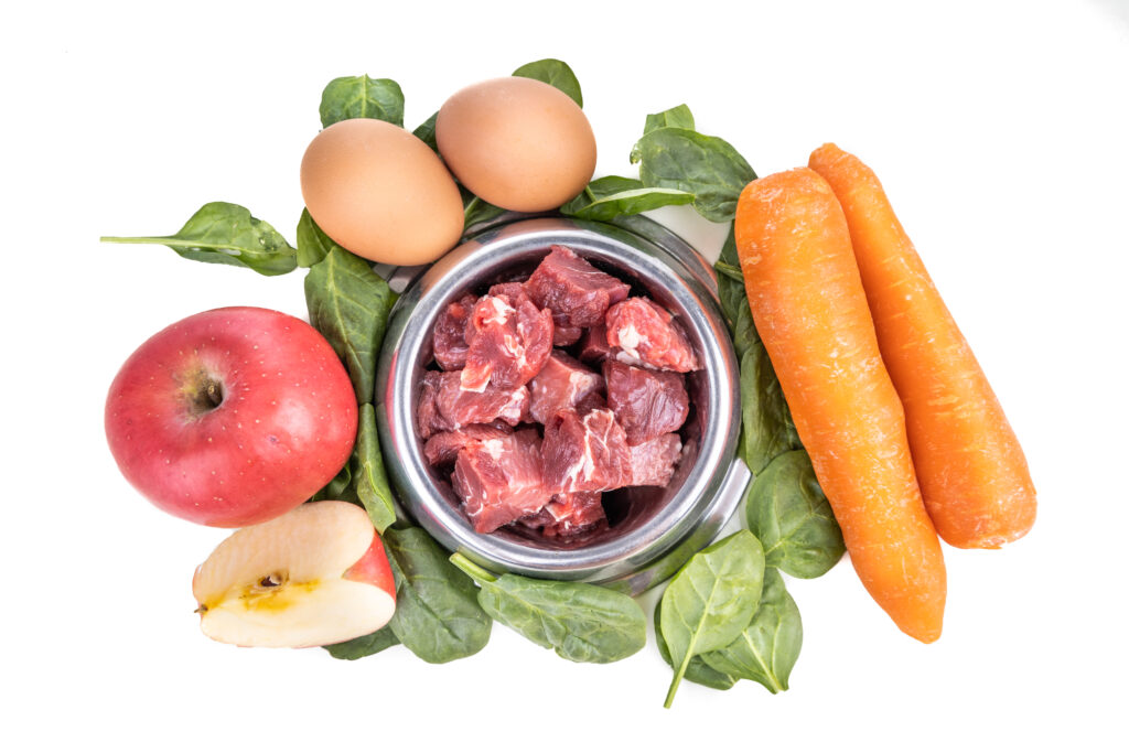 Healing pet food ingredients for a homemade raw diet